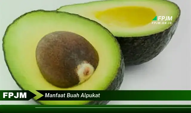 manfaat buah alpukat