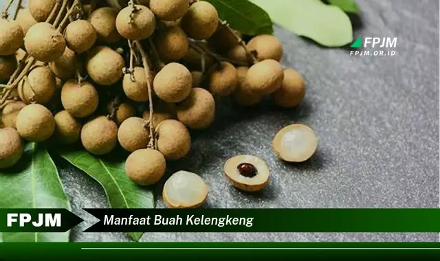 manfaat buah kelengkeng