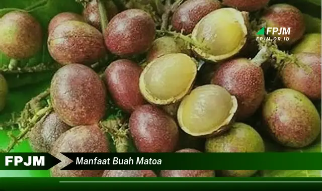 manfaat buah matoa