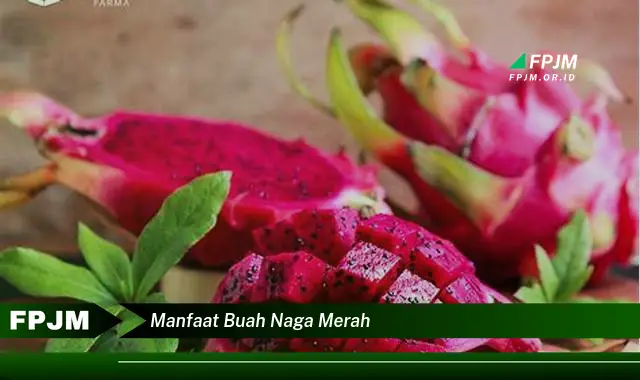 manfaat buah naga merah