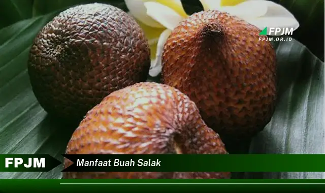 manfaat buah salak