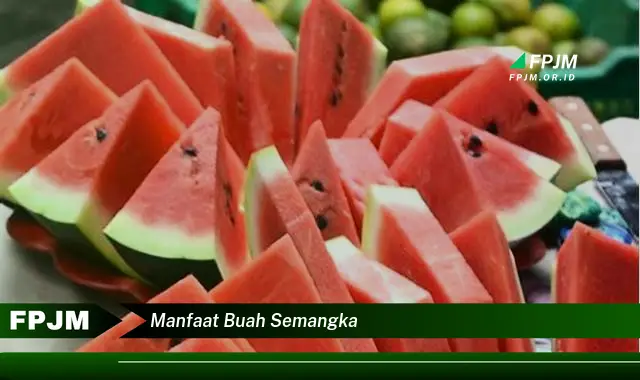 manfaat buah semangka