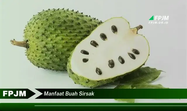 manfaat buah sirsak