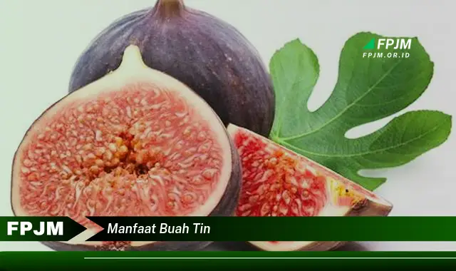 manfaat buah tin