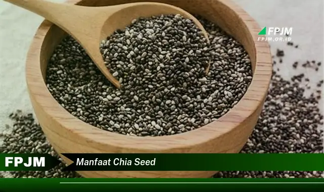 manfaat chia seed