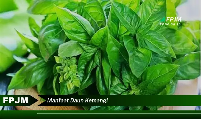 manfaat daun kemangi