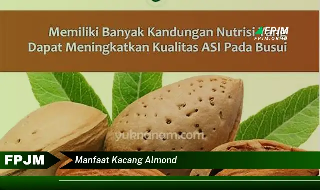 manfaat kacang almond