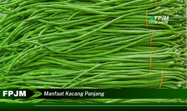 manfaat kacang panjang