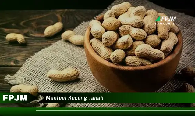 manfaat kacang tanah