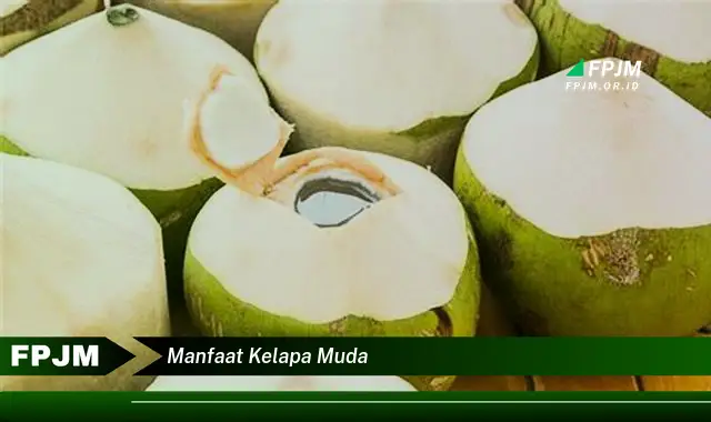 manfaat kelapa muda