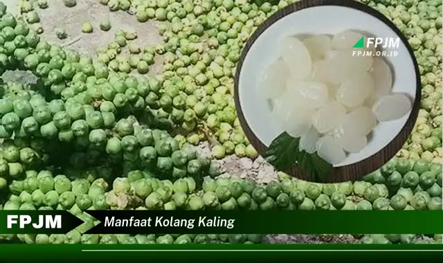 manfaat kolang kaling