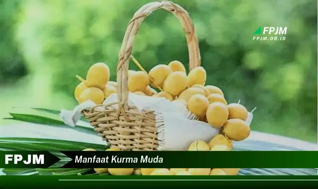 manfaat kurma muda