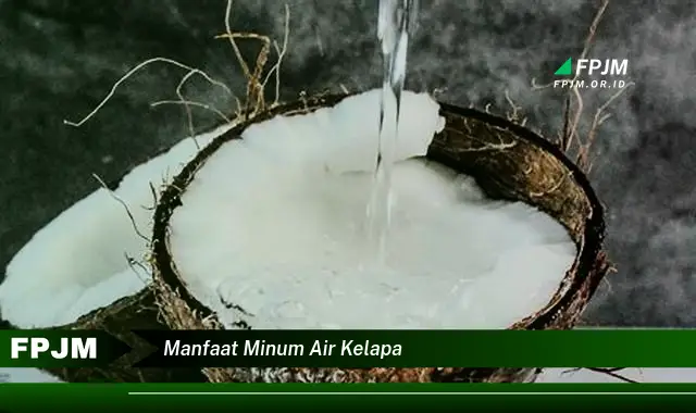 manfaat minum air kelapa