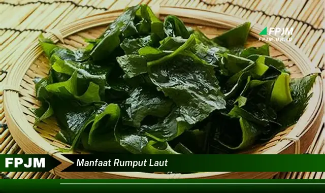 manfaat rumput laut