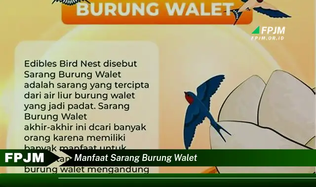 manfaat sarang burung walet