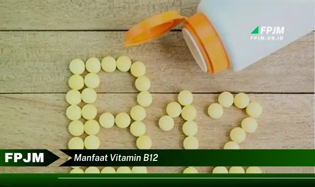 manfaat vitamin b12